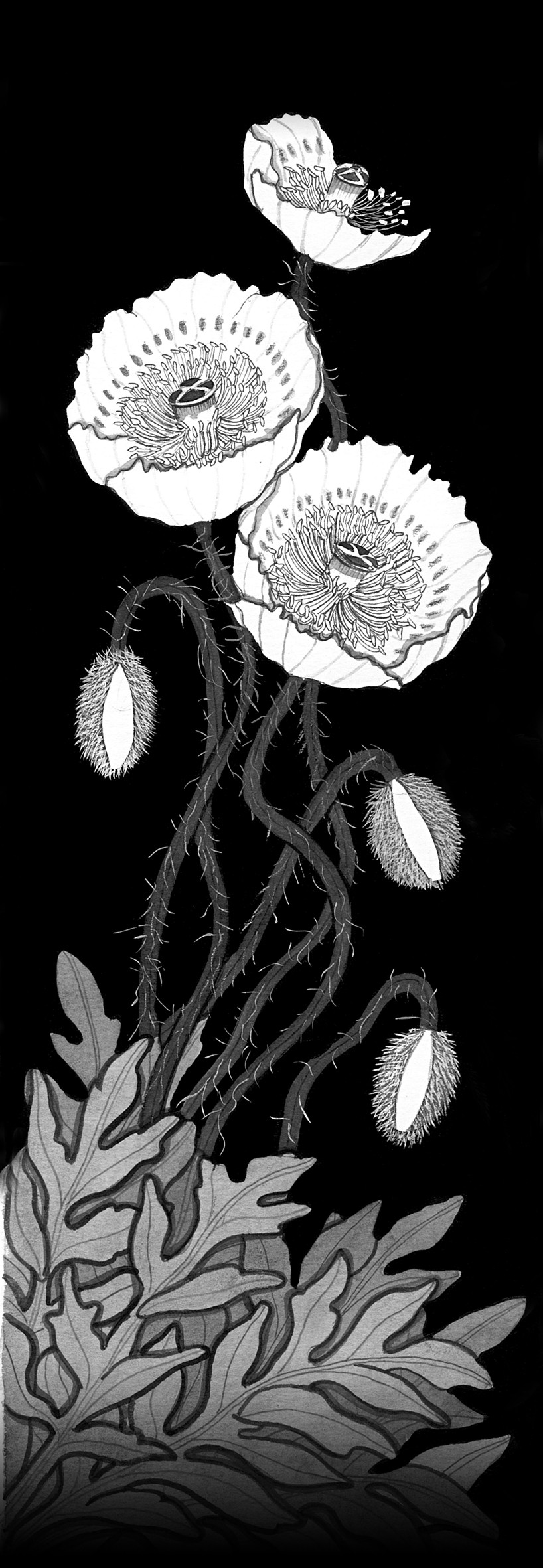 墨画画家・小玉茂右衛門さん WEB墨画作品展｜上＞ | りびえーる