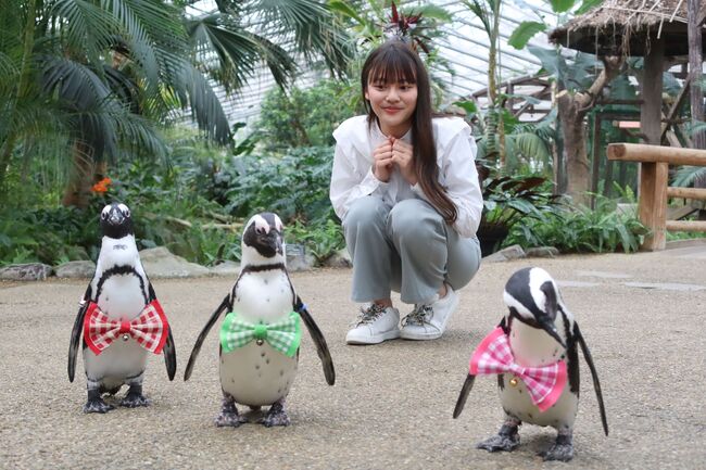 湖畔に広がる花と鳥の楽園　《松江フォーゲルパーク》　招待券をペア3組様にプレゼント！