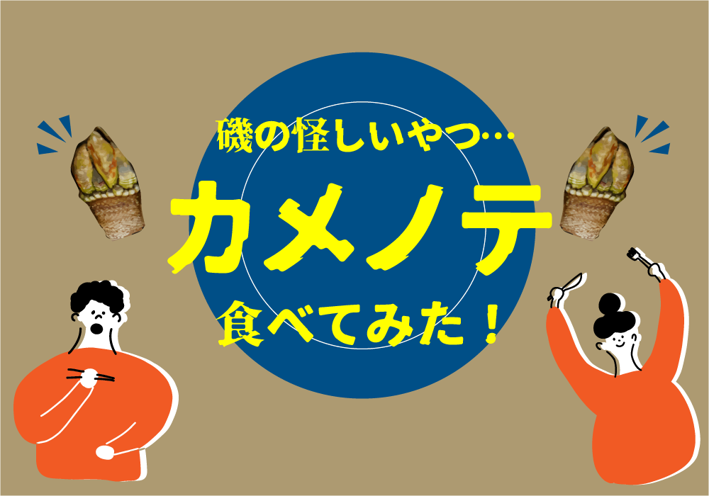 磯の怪しいやつ…カメノテ食べてみた!