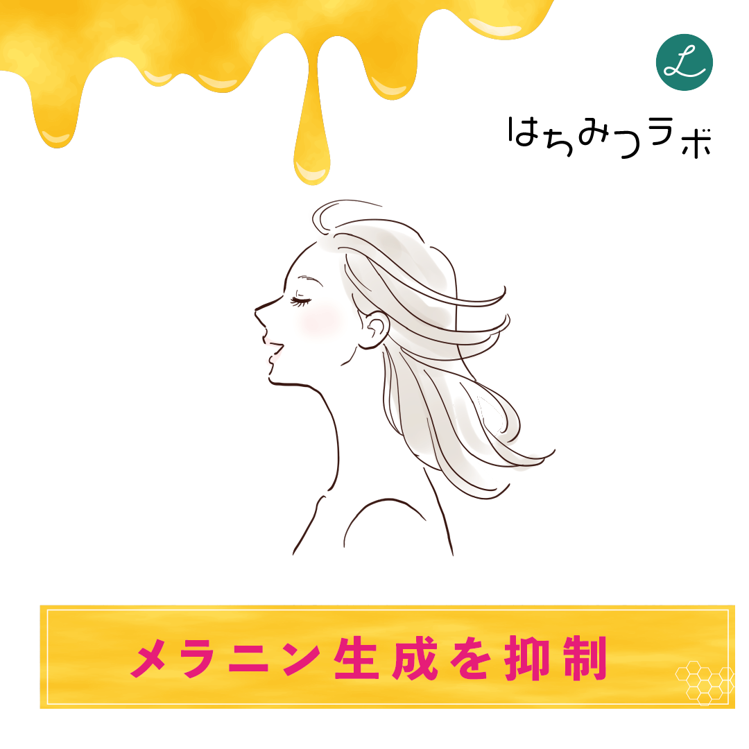 はちみつラボ(^^♪メラニン生成を抑制