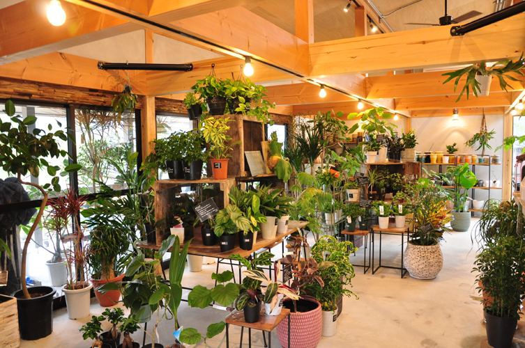 珍しい植物が豊富にそろうガーデニングショップ<Soraniwa雲南出雲店>雲南