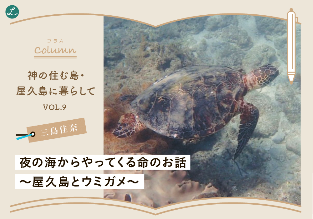 0819_コラム_屋久島vol.9