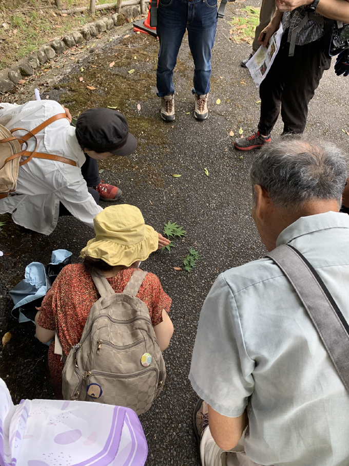 風土記植物園教室～秋を彩る花と樹木～