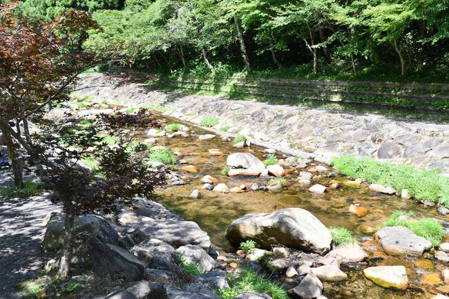 わくわくプール近くの小川