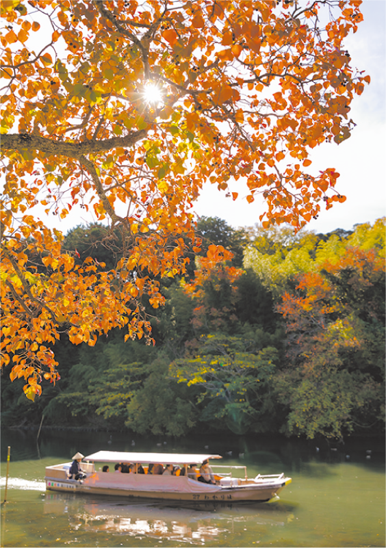 松江_松江市観光振興公社-1