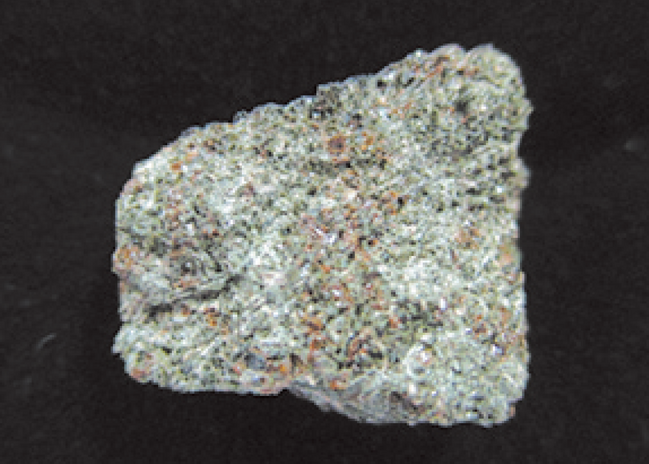 大田_サヒメル　画像-04