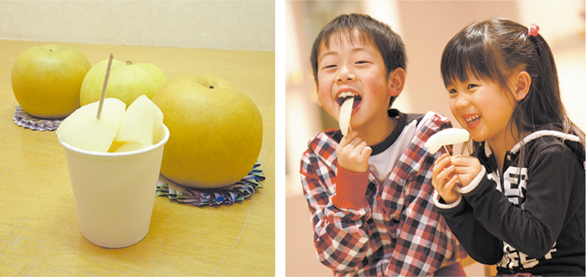 R鳥取_エースパックなしっこ館1