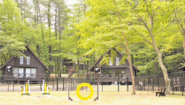 R石見_三瓶山北の原キャンプ場-02