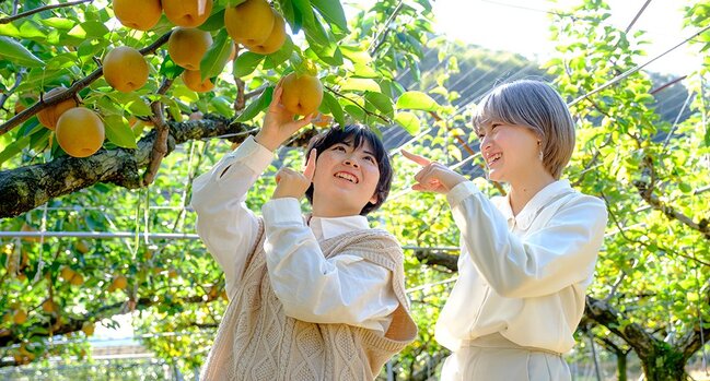 【さんこうえん】梨狩り（梨ジェラート付き）招待券をペア5組様にプレゼント！
