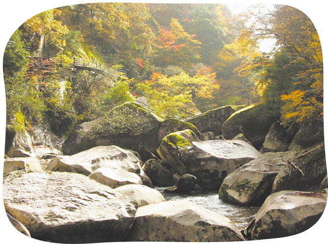 p11奥出雲町-鬼の舌震(秋)