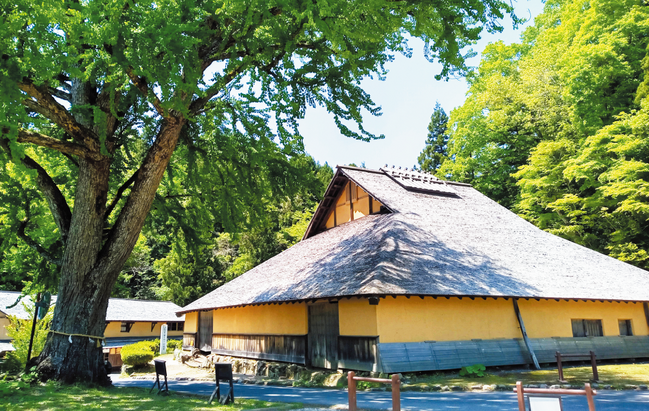 R_12菅谷たたら山内