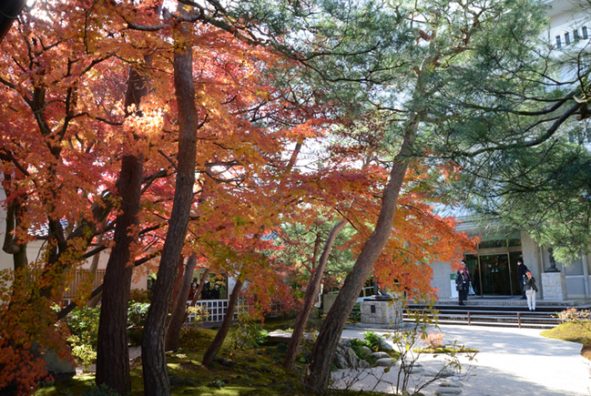 R安来市古川町、足立美術館21.11.26