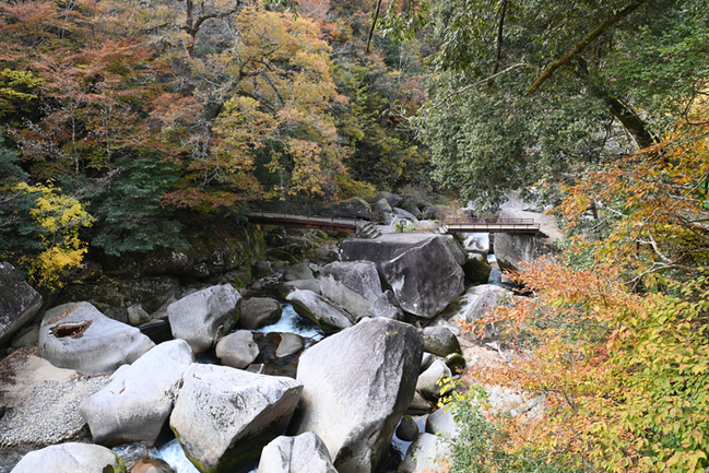 R鬼の舌震(島根県奥出雲町三成)22.11.10