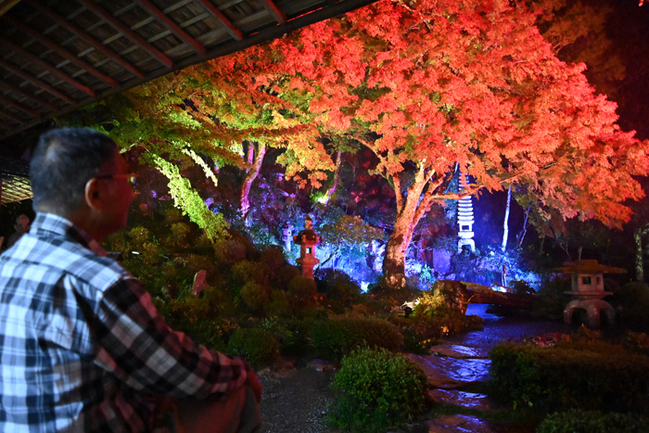 R旧堀氏庭園の紅葉=島根県津和野町邑輝24.11.2