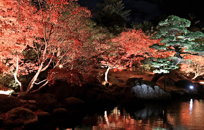 R松江市八束町波入、由志園23.11.25