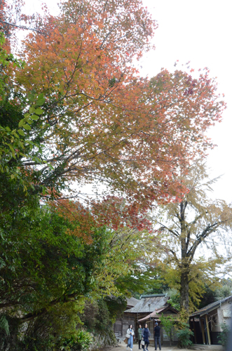 R清水寺(安来市清水町528番地)23.11.16