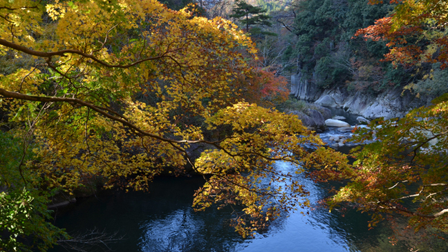 R石霞渓(鳥取県日南町生山22.11.9