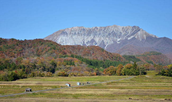 R大山南壁(鳥取県江府町御机22.11.9