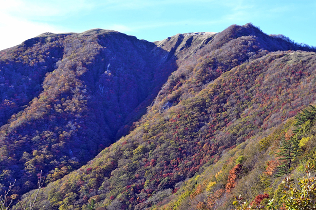 R男三瓶山‖大田市三瓶町24.11.9