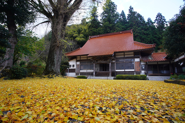 R長江寺(島根県川本町湯谷23.11.15