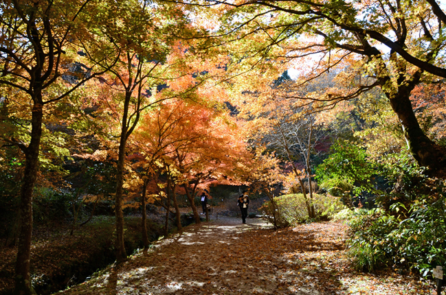 R絲原記念館(島根県奥出雲町大谷)22.11.9
