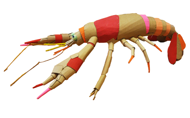 1021_創る_写真12アメリカザリガニ
