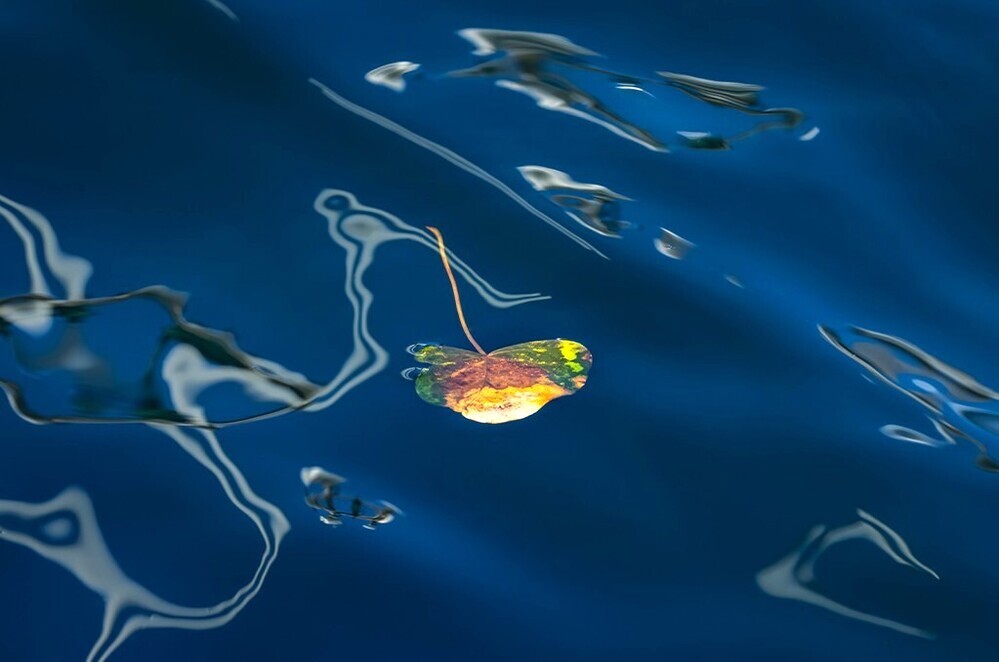 佐々木勝巳写真展「WATERCOLOR STORY」