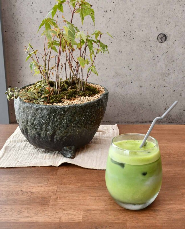 まっちゃオフ・抹茶ラテ