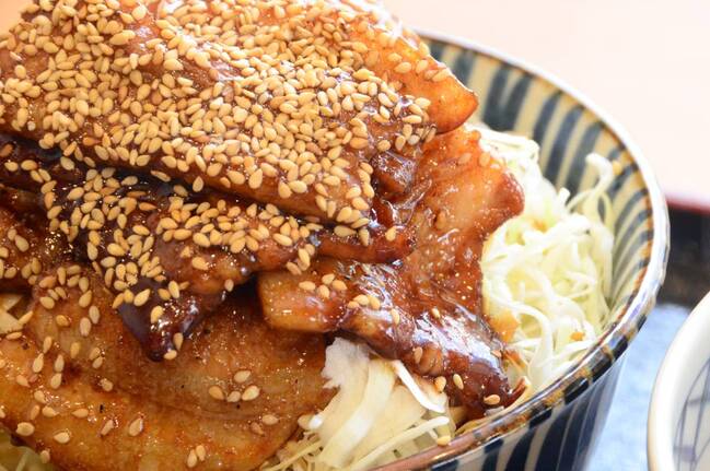 里のうどんばら丼アップ