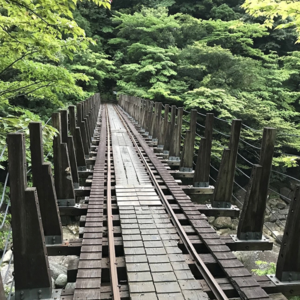 1120_コラム・屋久島_1