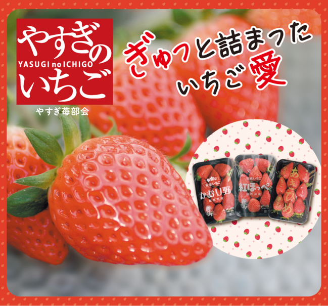 JAしまね_やすぎ苺部会_画像1