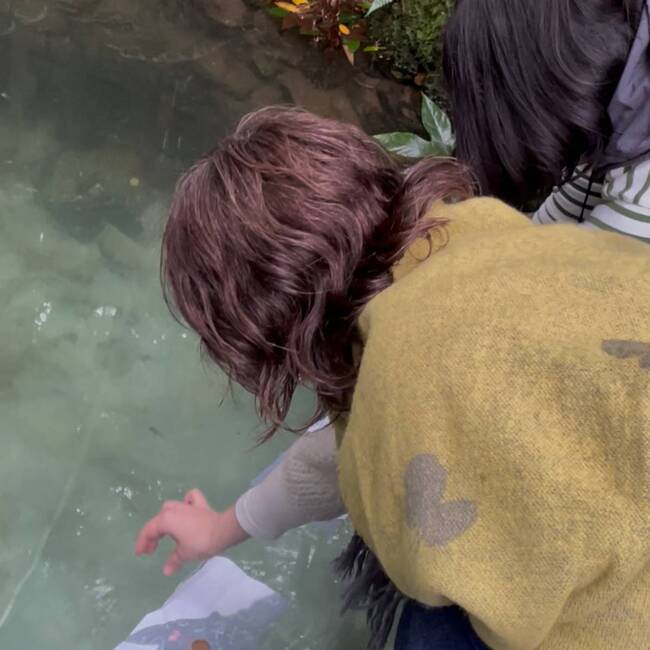 R1123ばけバス5八重垣3