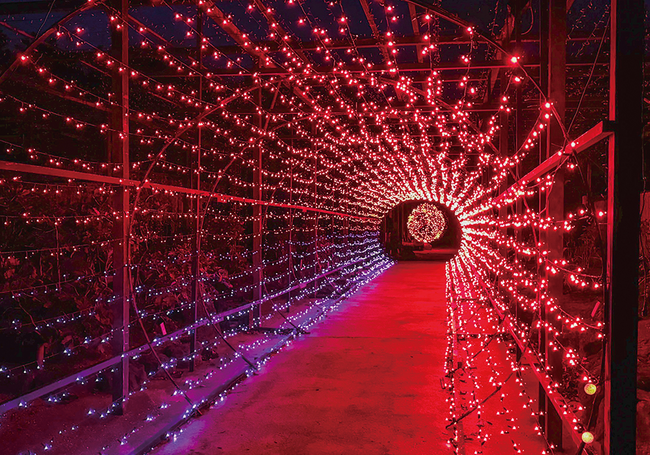1128_イルミネーション_トンネル