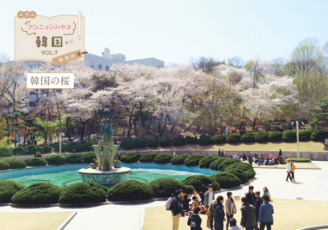 WEB R_0427_コラム_韓国vol.8-01