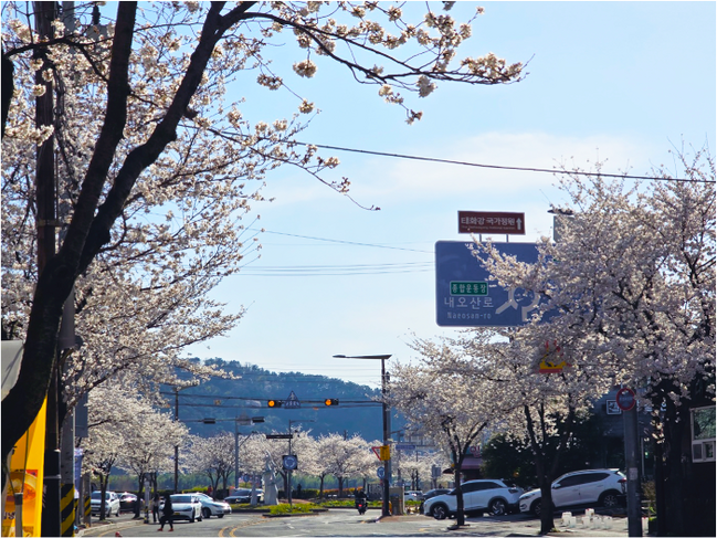 WEB R_0427_コラム_韓国vol.8-04