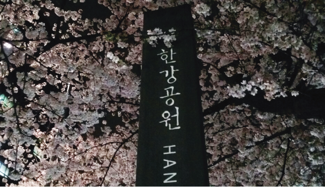 WEB R_0427_コラム_韓国vol.8-08