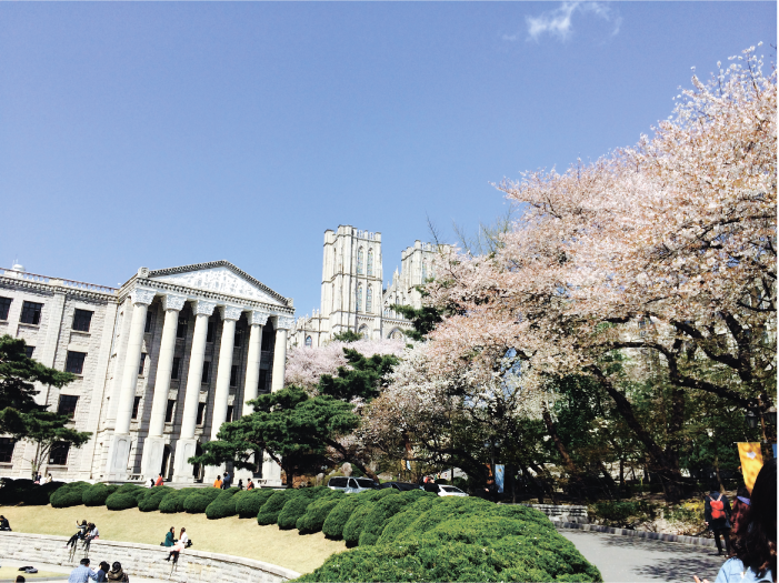 WEB R_0427_コラム_韓国vol.8-07