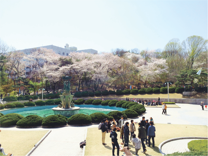 WEB R_0427_コラム_韓国vol.8-06