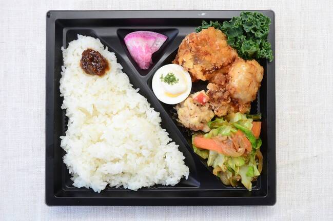 日日発酵堂発酵お肉弁当