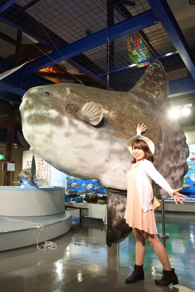 海とくらしの史料館