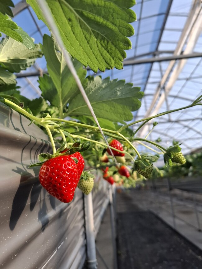 202601161645048767e6fbc8e