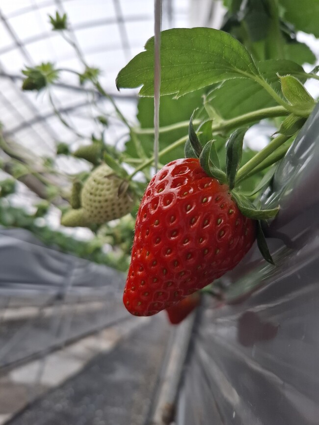 20260116164504880706d91a9