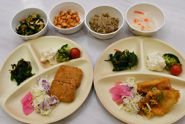 やくも・メイン２皿