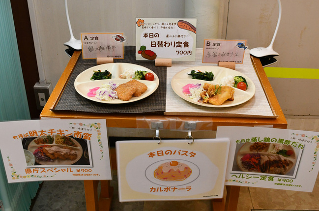 やくも・メニューサンプル