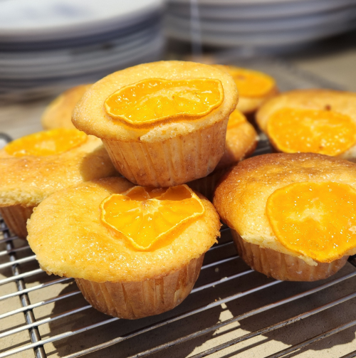 Piuみかんマフィン