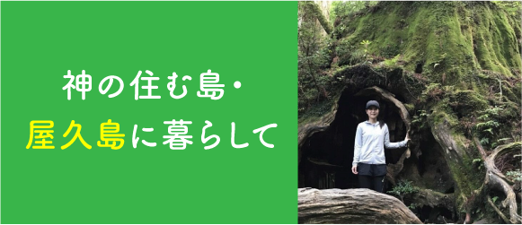 ミニバナー-コラム-屋久島
