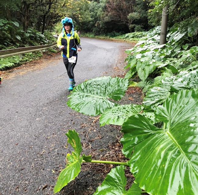 0218_屋久島写真2 大きな葉っぱ