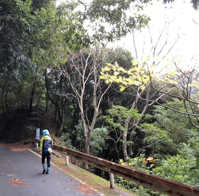 0218_屋久島写真4 激しいアップダウン