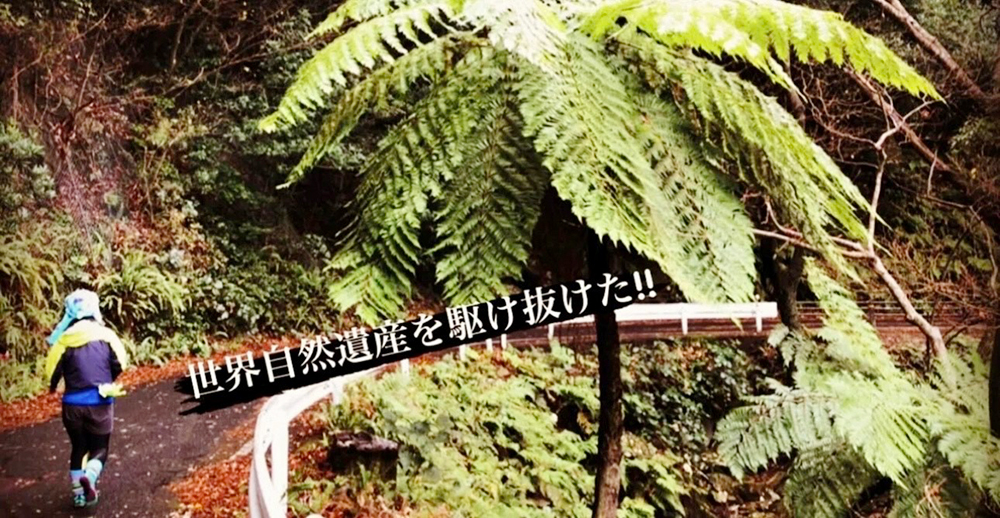 0218_屋久島写真1 駆け抜けた