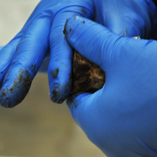 0222_フォンダンショコラ_ガナッシュ成形